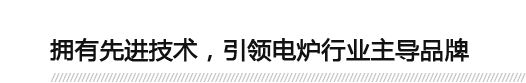 擁有先進(jìn)技術(shù)，引領(lǐng)電爐行業(yè)主導(dǎo)品牌